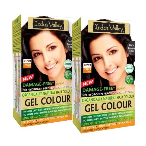 INDUS VALLEY Damage Free Natural Gel HairColor for Women|Ammonia & PPD Free Organic HairColor with 100% Grey Coverage, Long Lasting Conditioning Hair Color|Dark Brown 3.00-Pack of 2(2x220 = 440 ml)