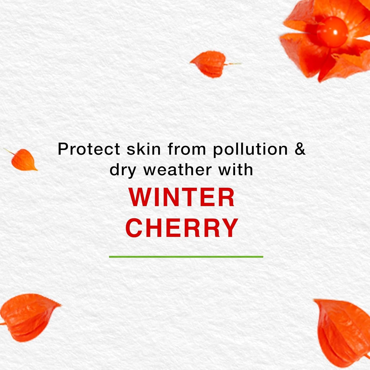 Himalaya Herbals Nourishing Skin Cream, 50ml - Image 3